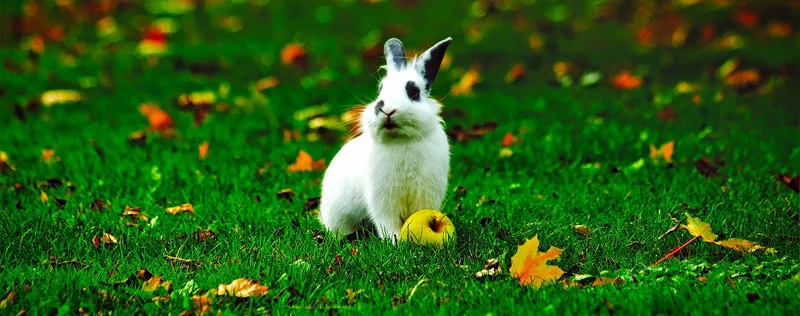 Створення сайту Дніпро, розробка інтернет магазину Україна